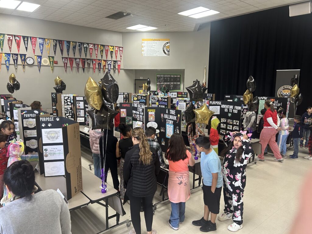 Loudon Elementary - Positivity Project Exhibition